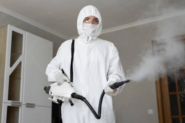 Best Mold Removal for HVAC Installations  in Airmont, NY